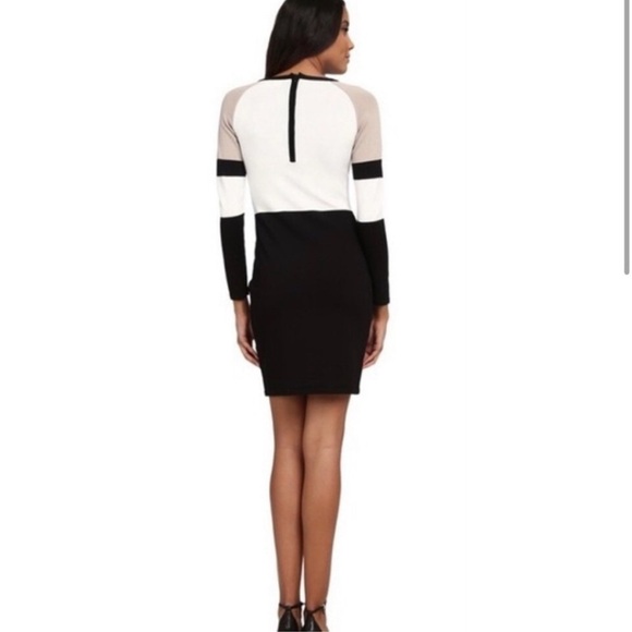 CALVIN KLEIN M Petite Colorblock Knit Long Sleeve Dress Black Taupe Cream MP - Picture 2 of 16
